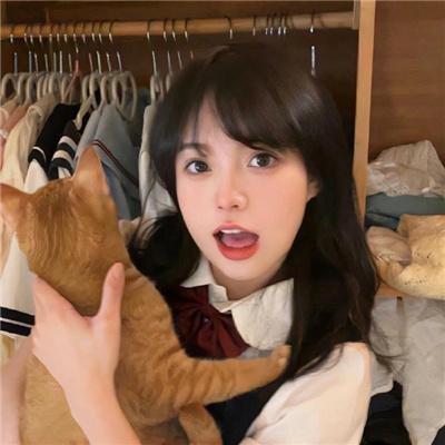 最爱喵星人:我猫威武