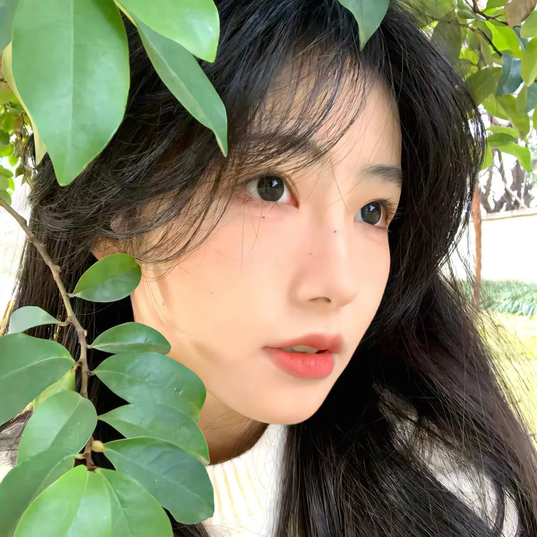 锈与骨